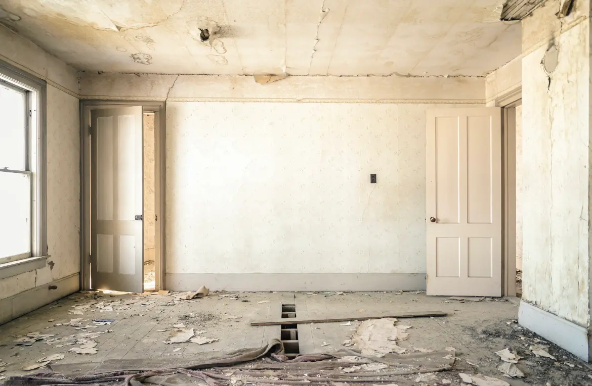 Waste disposal crew managing a cleanout project in Devine